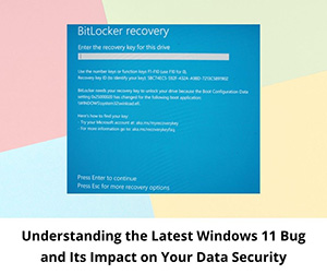 Understanding the Latest Windows 11 Bug and Its Impact on Your Data Security